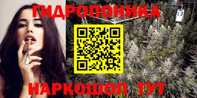 стаф Новозыбков