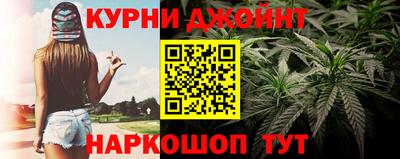 стаф Новозыбков